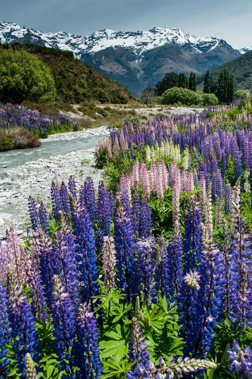 Glenorchy Peaks Bed And Breakfast Exterior foto