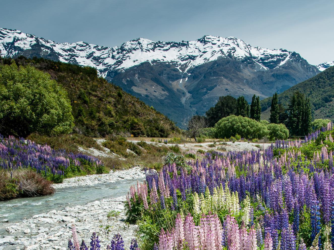 Glenorchy Peaks Bed And Breakfast Exterior foto